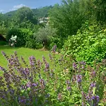 Sunny Garden House