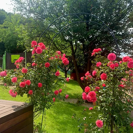 Sunny Garden House Casa vacanze