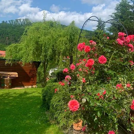 בית נופש Sunny Garden House *