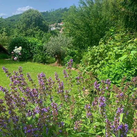 Sunny Garden House