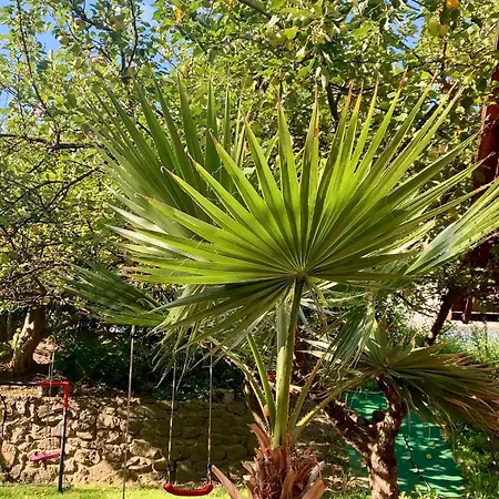 Sunny Garden House בית נופש