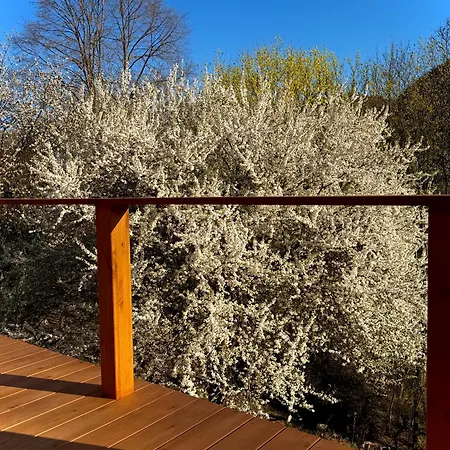 Sunny Garden House בית נופש *