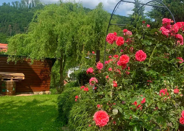 Dom wakacyjny Sunny Garden House *